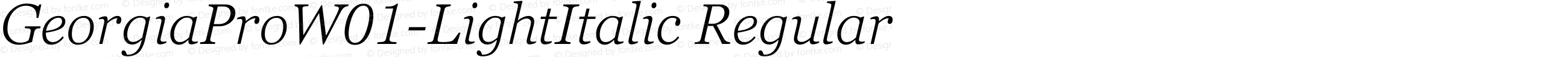 Georgia Pro W01 Light Italic