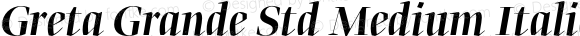 Greta Grande Std Medium Italic