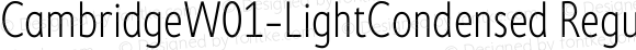 CambridgeW01-LightCondensed Regular