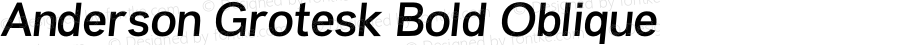 Anderson Grotesk Bold Oblique Version 1.002;Fontself Maker 2.1.2