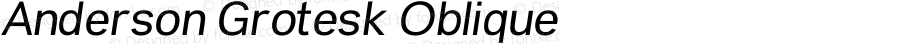 Anderson Grotesk Oblique Version 1.003;Fontself Maker 2.1.2
