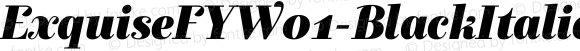 Exquise FY W01 Black Italic