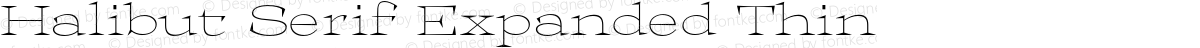 Halibut Serif Expanded Thin