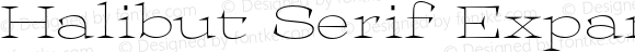 Halibut Serif Expanded Thin