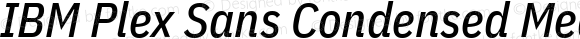 IBM Plex Sans Condensed Medium Italic