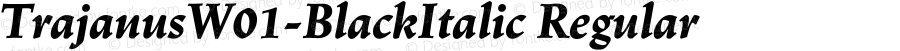 Trajanus W01 Black Italic