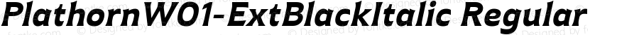 Plathorn W01 Ext Black Italic