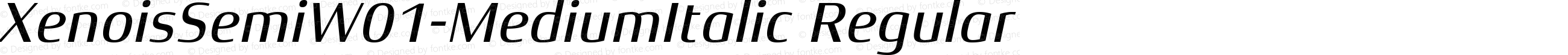 Xenois Semi W01 Medium Italic