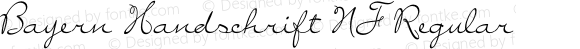 Bayern Handschrift NF Regular
