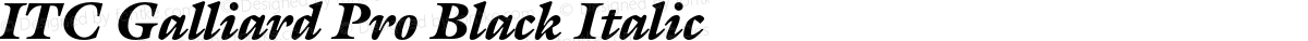 ITC Galliard Pro Black Italic