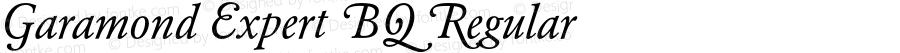 Garamond (R) Expert Italic Swash