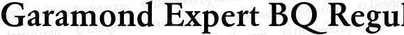 Garamond (R) Expert Medium OsF