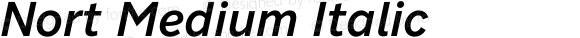 Nort Medium Italic