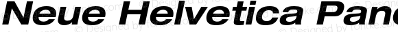 Neue Helvetica Paneuropean 73 Extended Bold Oblique