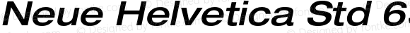 Neue Helvetica Std 63 Extended Medium Oblique