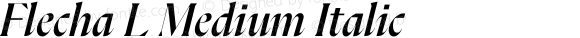 Flecha L Medium Italic