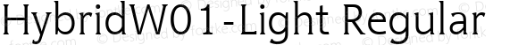 HybridW01-Light Regular