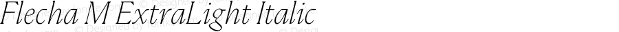 Flecha M ExtraLight Italic