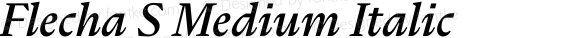 Flecha S Medium Italic