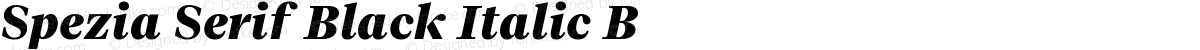 Spezia Serif Black Italic B