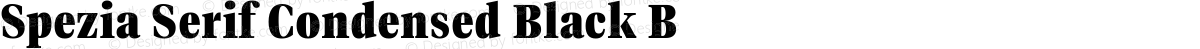 Spezia Serif Condensed Black B