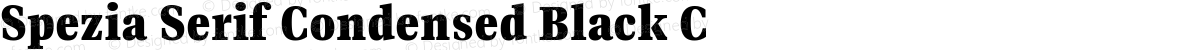 Spezia Serif Condensed Black C