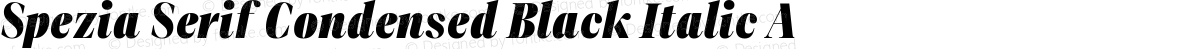 Spezia Serif Condensed Black Italic A