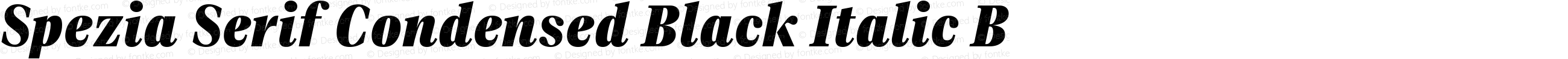 Spezia Serif Condensed Black Italic B