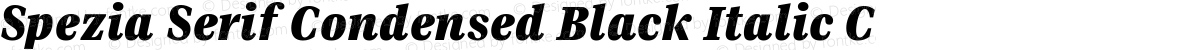 Spezia Serif Condensed Black Italic C