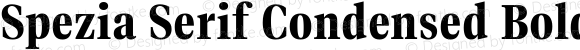 Spezia Serif Condensed Bold B