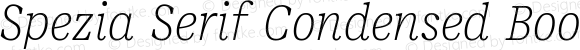 Spezia Serif Condensed Book Italic D