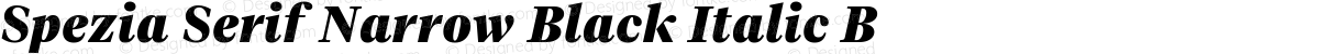 Spezia Serif Narrow Black Italic B