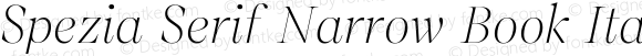 Spezia Serif Narrow Book Italic A