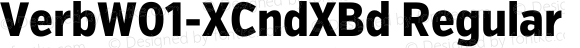 VerbW01-XCndXBd Regular