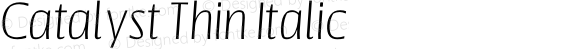 Catalyst Thin Italic