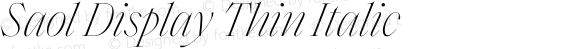 Saol Display Thin Italic