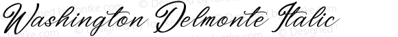 Washington Delmonte Italic