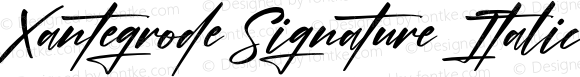 Xantegrode Signature Italic