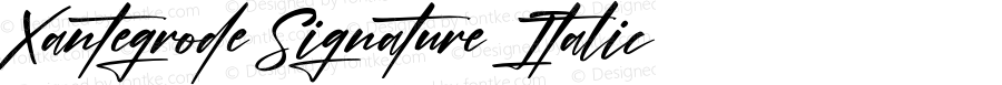 Xantegrode Signature Italic