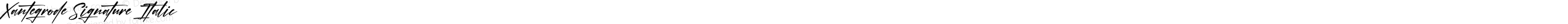 Xantegrode Signature Italic