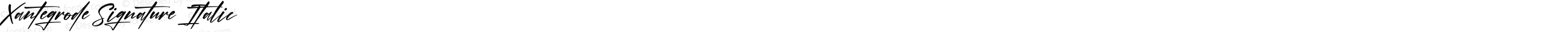Xantegrode Signature Italic