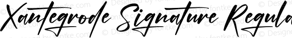 Xantegrode Signature Regular