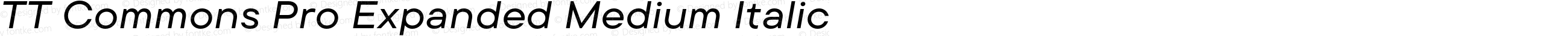 TT Commons Pro Expanded Medium Italic