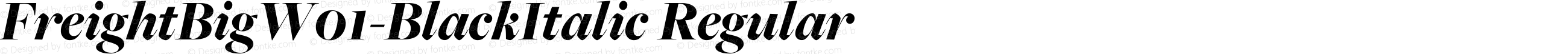 Freight Big W01 Black Italic