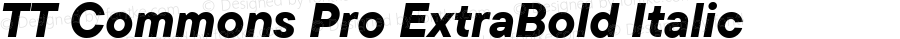 TT Commons Pro ExtraBold Italic