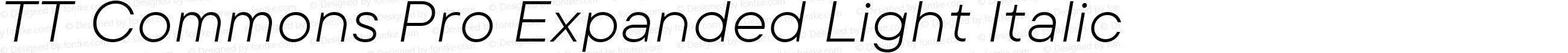 TT Commons Pro Expanded Light Italic