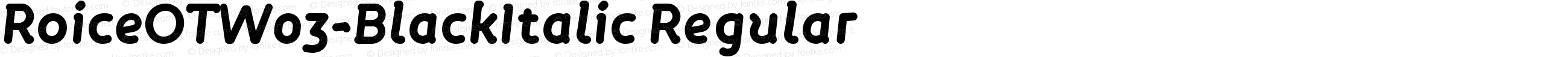 RoiceOTW03-BlackItalic Regular