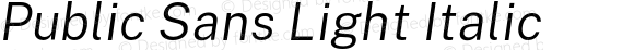 Public Sans Light Italic