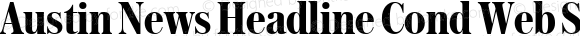 Austin News Headline Cond Web Semibold