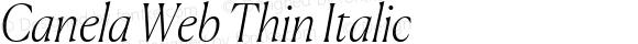 Canela Web Thin Italic
